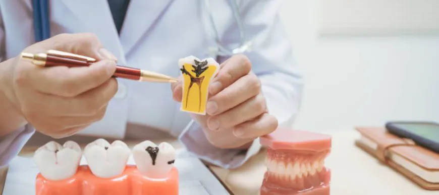 Diş kırılması neden olur? Belirtileri ve tedavi yöntemleri